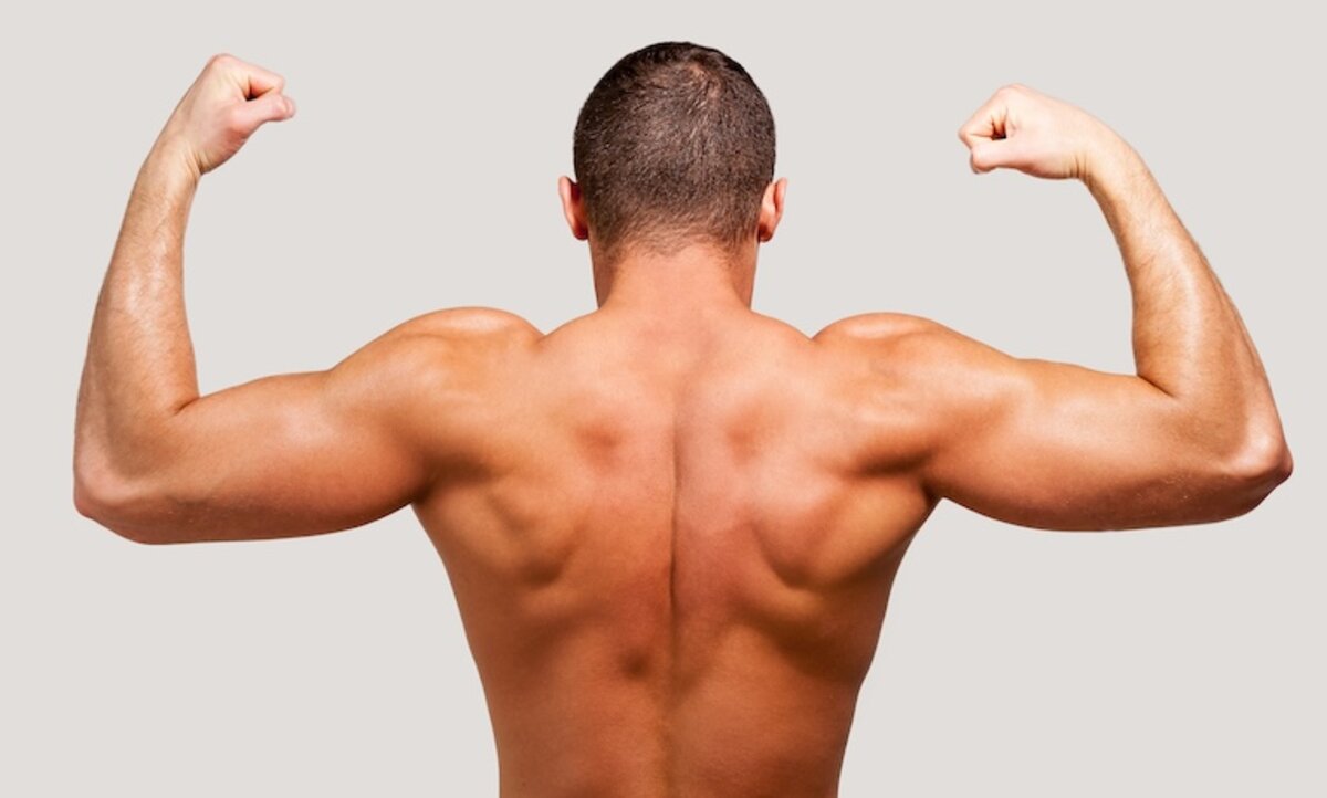 chrbát vyšportovaného muža