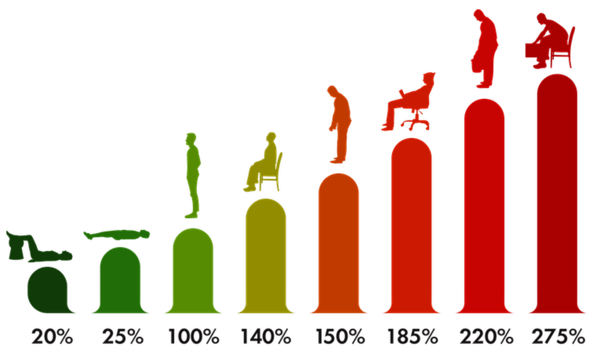 graf zobrazujúci zaťaženie chrbtice v jednotlivých polohách