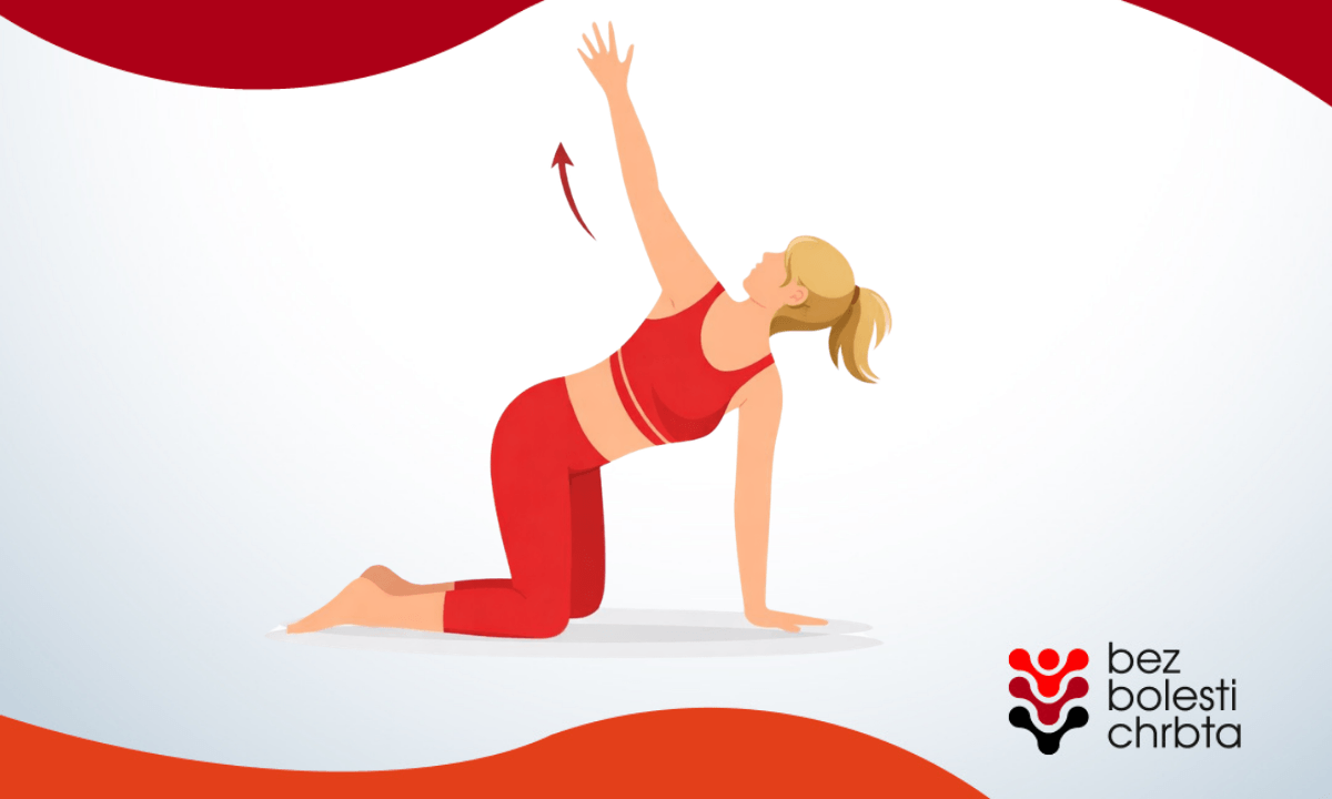 zobrazenie cviku mačka s rotáciou