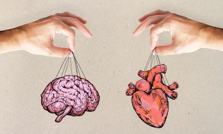 dve ruky - jedna drží obrázok mozgu, druhá obrázok srdca
